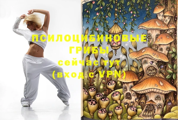 тгк Алзамай